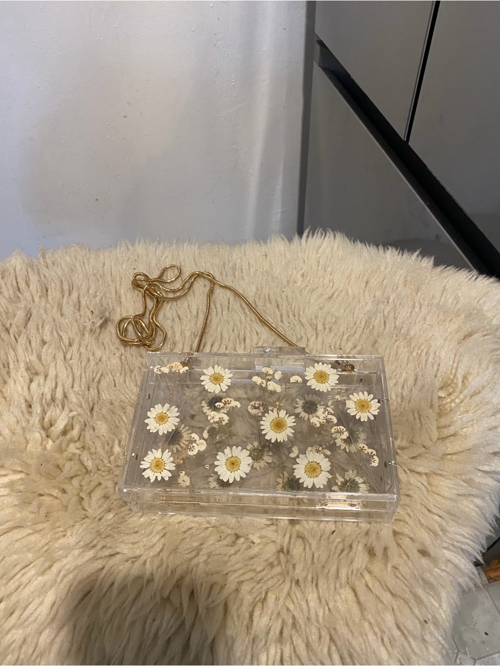 Purse - Acrylic Clutch or Shoulder